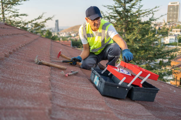 Best Insulated Siding Installation  in Troup, TX