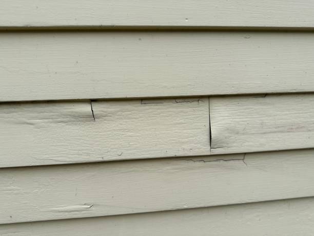 Best Siding Replacement  in Troup, TX